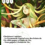 La guerisseuse sylvestre fr