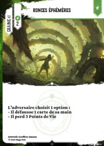 Ronces ephemeres fr