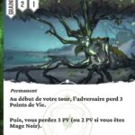 Arbre mancenillier fr