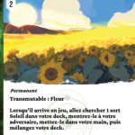 Champ de tournesol fr