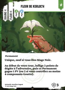 Fleur de kerloc h fr