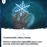 Flocon de neige 1 fr