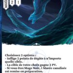 Infiltration marine fr