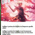 Petales tranchants fr