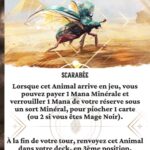 Scarabee fr