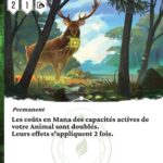 Taille gigantesque fr